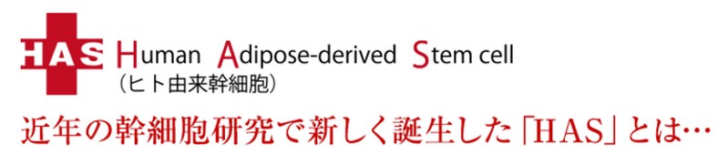 HAS���C�X�g�N���[�����T�C�g